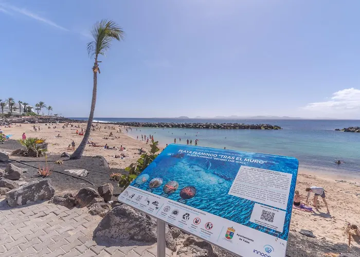 Appartement Playa Flamingo Bellavista